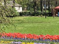 blumenbeet