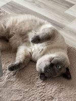 img-20220619-wa0018